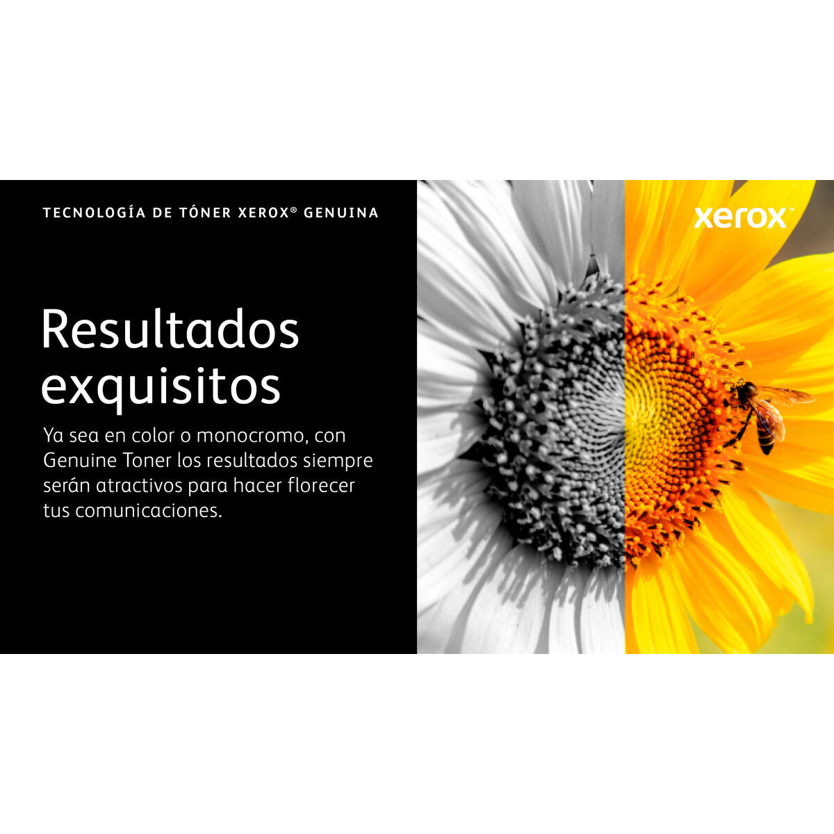 V2H38084EAAAE916DF75C4BE7D423E69058R7616316P8